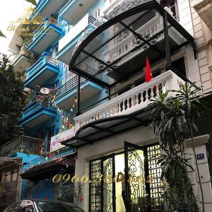 Mái Kính Sắt Mỹ Thuật MKMT-13